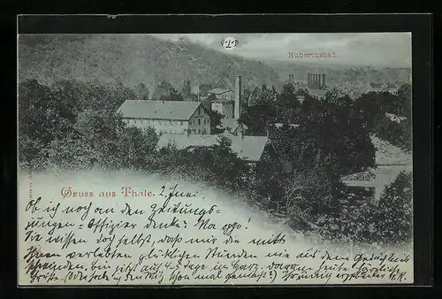 Mondschein-AK Thale, Panorama mit dem Hubertusbad