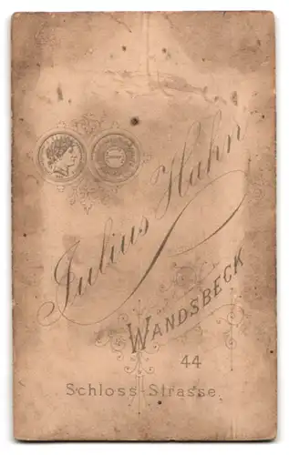 Fotografie Julius Hahn, Wandsbeck, Schlossstr. 44, Bürgerlicher Herr mit Oberlippenbart