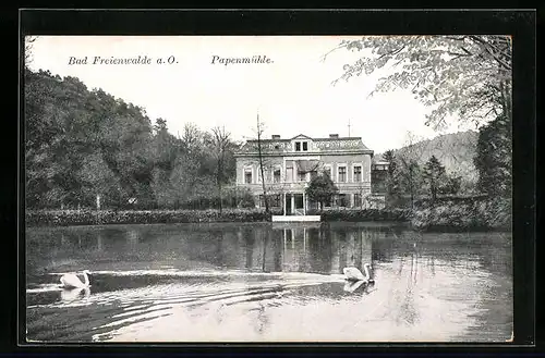 AK Bad Freienwalde a. O., Blick zur Papenmühle