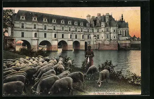 AK Chenonceaux, Le Chateau, La Facade Orientale