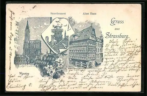Lithographie Strassburg, Münster, Altes Haus, Storchennest