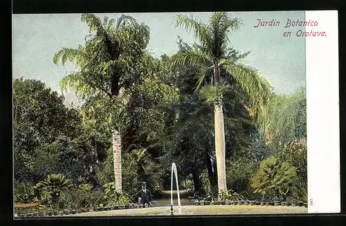 AK La Orotava / Tenerife, Jardin Botanico