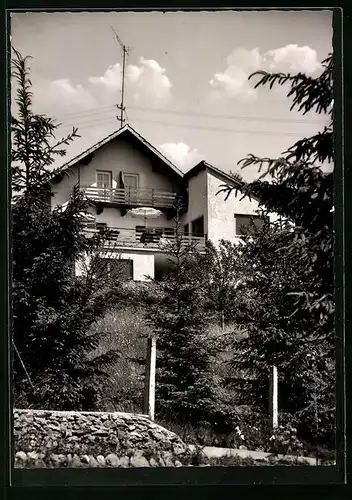 AK Spiegelau /Bayr. Wald, Pension Zum Waldbad