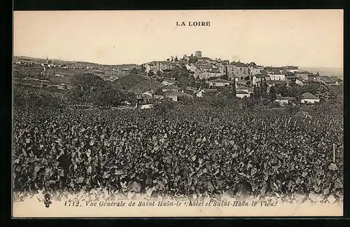 AK Saint-Haon-le-Chatel, Vue Générale