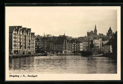 AK Königsberg, Hundegatt mit Stadtpanorama