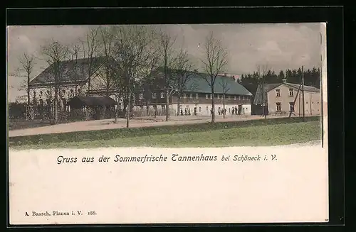 AK Tannenhaus b. Schöneck i. V., Ortspartie im Frühjahr