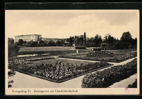 AK Königsberg i. Pr., Rosengarten mit Handelshochschule