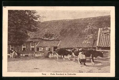 AK Norg, Oude Boerderij te Zuidvelde