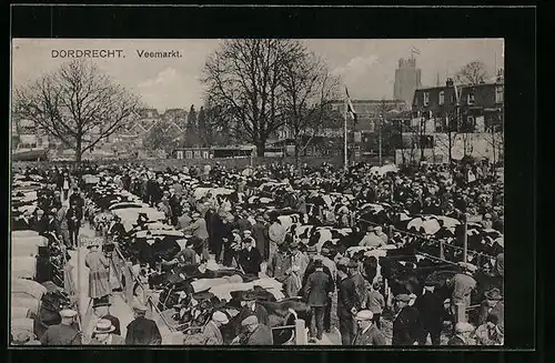 AK Dordrecht, Veemarkt