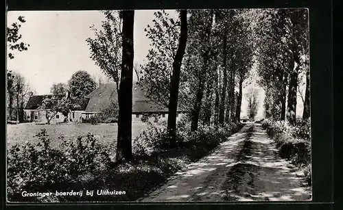 AK Uithuizen, Groninger boerderij