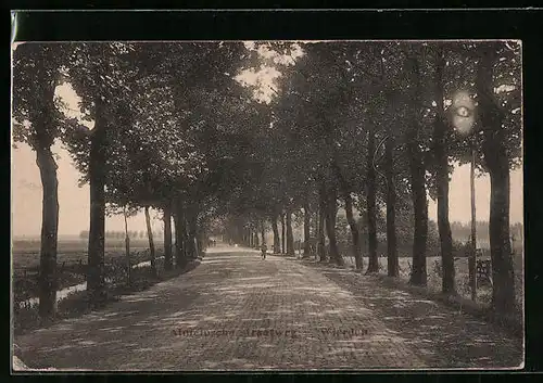 AK Wierden, Almelosche straatweg