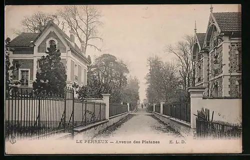 AK Le Perreux, Avenue des Platanes