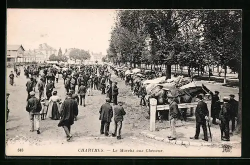 AK Chartres, Le Marché aux Chevaux