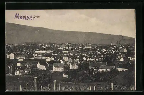 AK Marburg /Drau, Gesamtansicht von einer Anhöhe aus