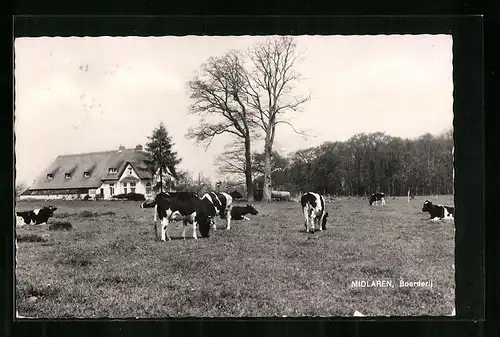 AK Midlaren, Boerderij