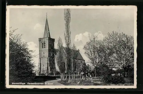 AK Wemeldinge, Kersenboomen in bloei