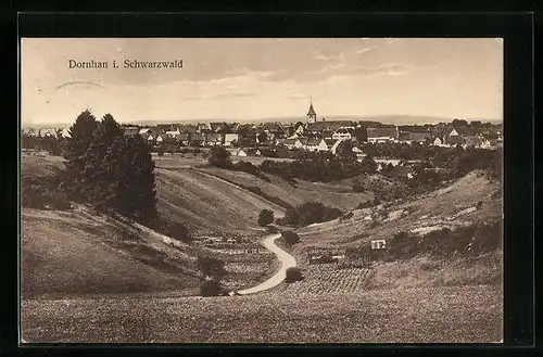 AK Dornhan /Schwarzwald, Ortsansicht mit kleinem Fluss