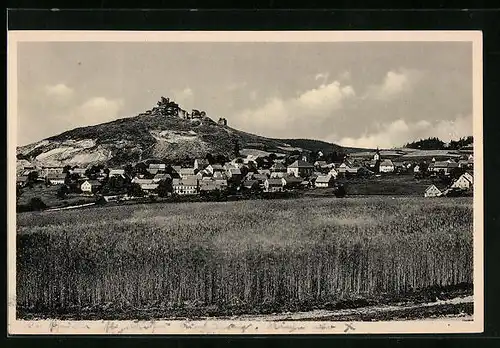 AK Flossenbürg /Oberpf., Ortsansicht mit Burgruine