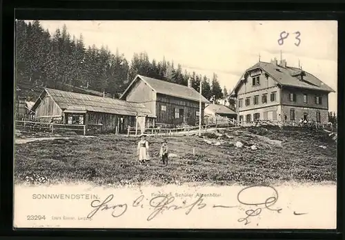 AK Schottwien, Friedrich Schüler Alpenhotel