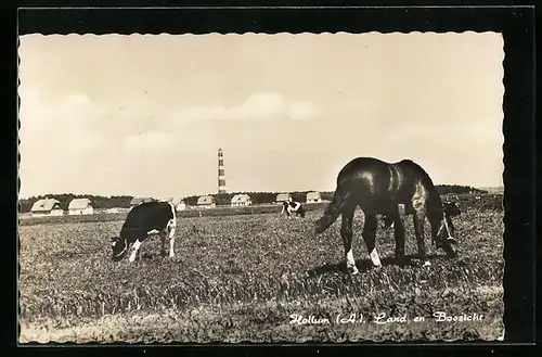 AK Hollum, Land en Boszicht