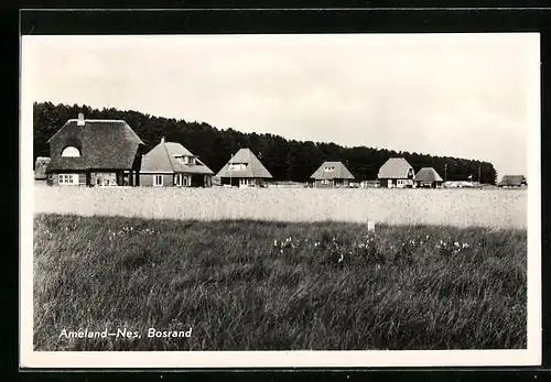 AK Nes-Ameland, Bosrand