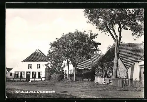 AK Nes-Ameland, Dorpsgezicht