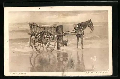 AK Katwijk aan Zee, Schelpenvisscher