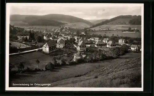 AK Schmiedeberg / Erzgeb., Panoramablick von der Bergwiese