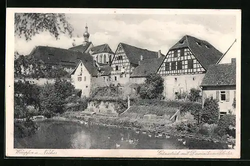 AK Wimpfen /Neckar, Gänseteich mit Dominikanerkloster