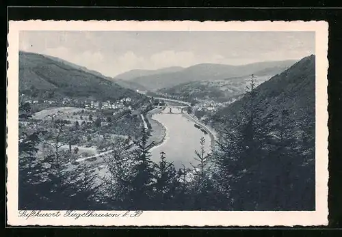 AK Ziegelhausen b. H., Totalansicht mit Brücke