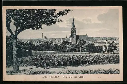 AK Aschersleben, Blick auf die Stadt