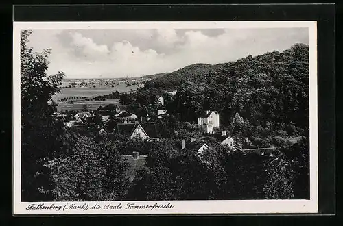 AK Falkenberg /Mark, Blick in die Sommerfrische