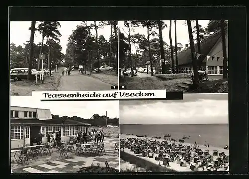 AK Trassenheide /Usedom, Weg zum Strand und Ferienlager der Friedrich-Schiller-Universität Jena