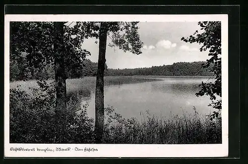 AK Templin /Uckermark, Uferpartie