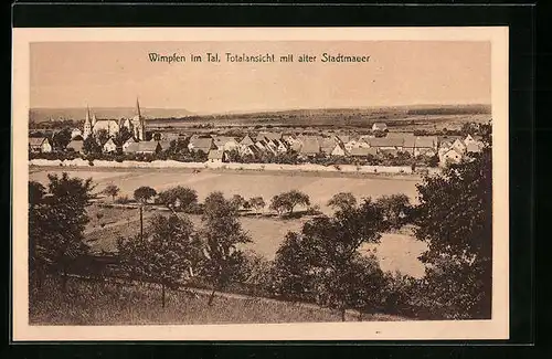 AK Wimpfen im Tal, Totale mit alter Stadtmauer