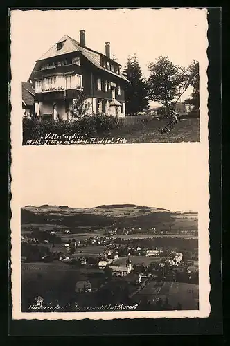 AK Hinterzarten i /Scharzwald, Pension Villa Sophia, Teilansicht