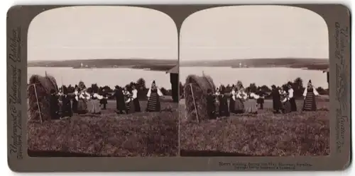 Stereo-Fotografie Underwood & Underwood, New York / NY, Schweden in Tacht bei der Heu-Ernte