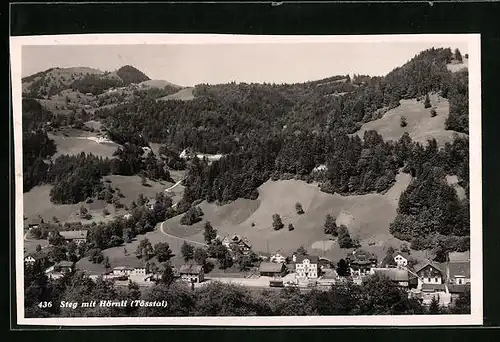 AK Steg /Tösstal, Ortsansicht mit Hörnli