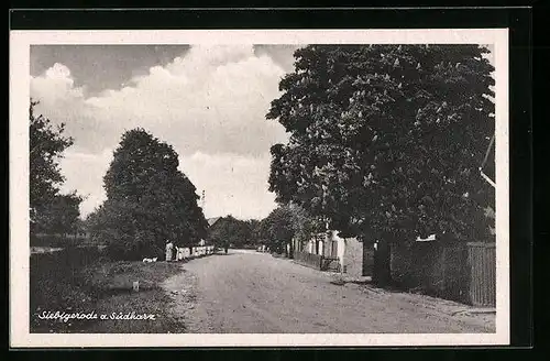 AK Siebigerode /Südharz, Strassenpartie mit Kastanienbaum