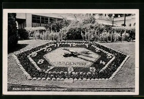 AK Baden bei Wien, Blumen-Uhr im Kurpark