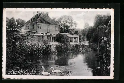 AK Heiligenstadt-Eichsfeld, Kneipp-Bad St. Martin, mit Schwänen