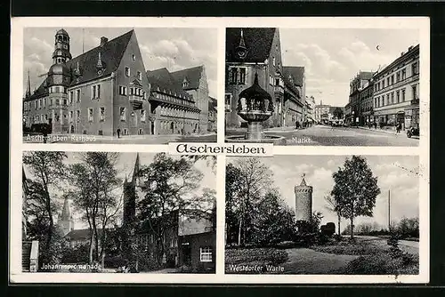 AK Aschersleben, Markt mit Geschäften und Brunnen, Rathaus, Westdorfer Warte