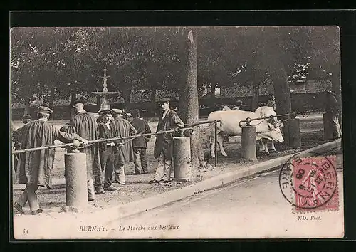 AK Bernay, Le Marché aux bestiaux