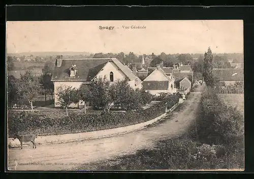 AK Sougy, Vue Générale