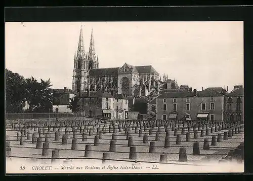 AK Cholet, Marché aux Bestiaux et Eglise Notre-Dame