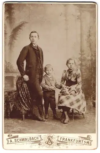 Fotografie A. Schwalbach, Frankfurt a. M., Zeil 46, Junger Mann im Anzug mit jungem Mädchen und kleinem Jungen