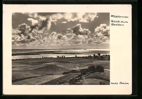 Foto-AK Max Baur: Hiddensee, Blick zum Bodden