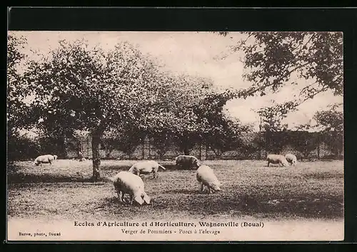 AK Wagnonville, Ecoles d`Agriculture et d`Horticulture