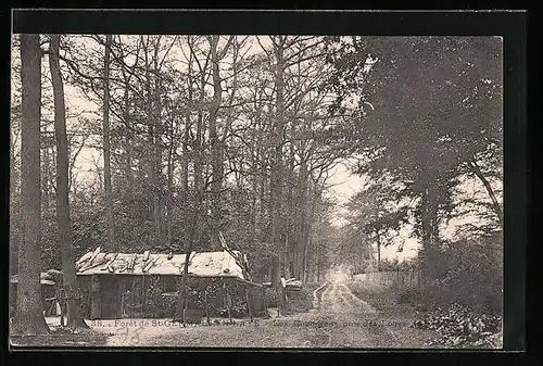 AK St-Germain-en-Laye, Forêt