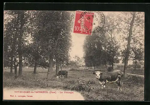 AK Notre-Dame du-Vaudreul, Les Paturages